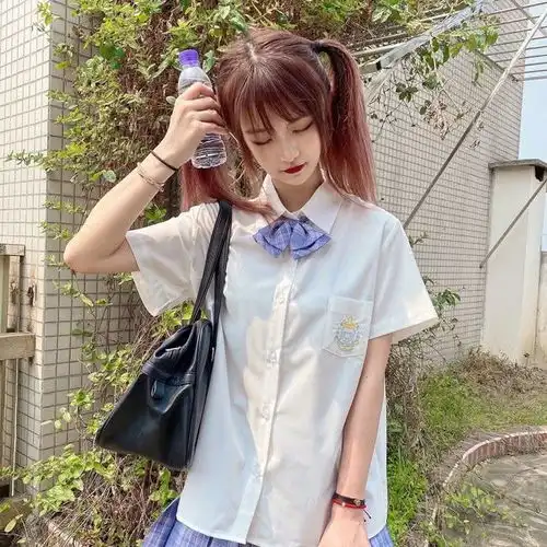 二次元jk制服不要对我一见钟情,我已经有喜欢的人了