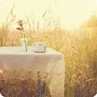 意境安静网名女生头像微信头像图片大全