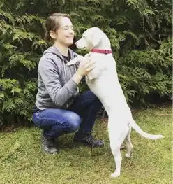 狗狗搬到新环境,孤单到闷闷不乐,主人了它一个大惊喜