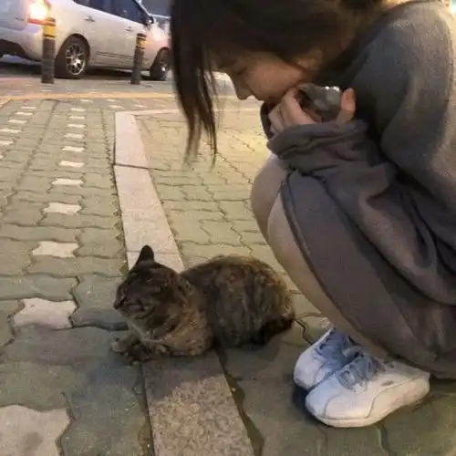 今天你换头像了吗