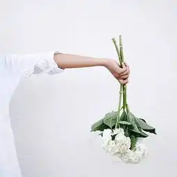 你的脾气里,藏着你的修养