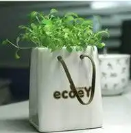 各种盆栽花的名字图片微信头像图片大全