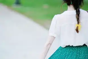 苏以楠关注的设计师zcool