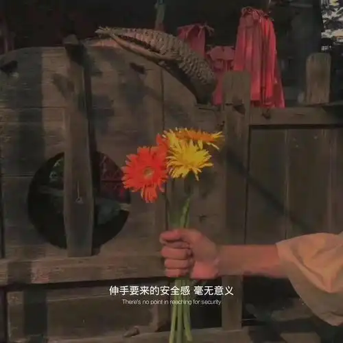关于舔狗的伤感文案句句伤情