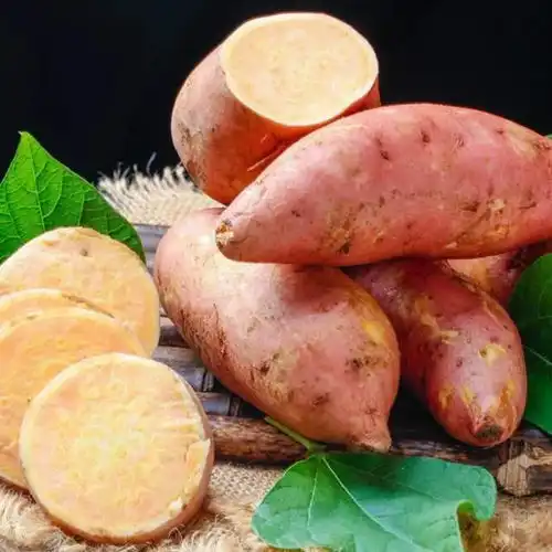 这6种食物健康又低卡,女人坚持每天吃一些,悄悄变瘦显年轻