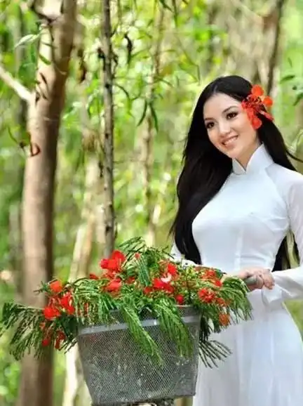 越南版旗袍美女,倾国倾城