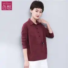 时尚春款女衬衫