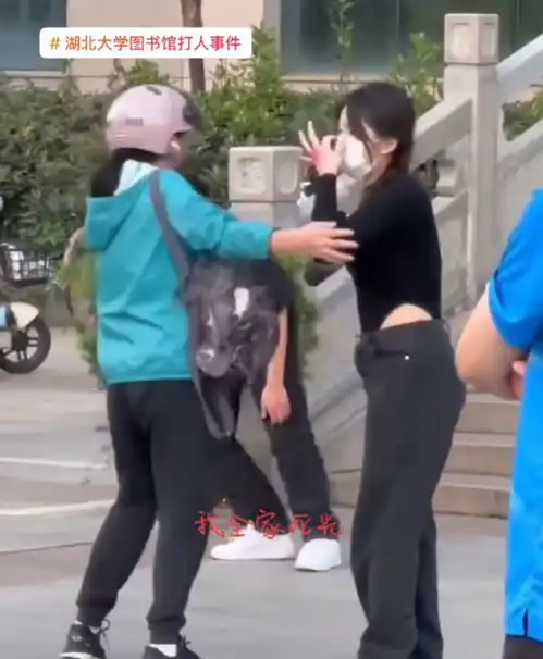 湖大情侣与社会人打架,女的惹事精,冲突原因你想象不到