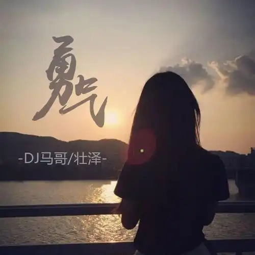 老年迪斯科壮泽马哥高音质在线试听老年迪斯科歌词歌曲下载酷狗音乐