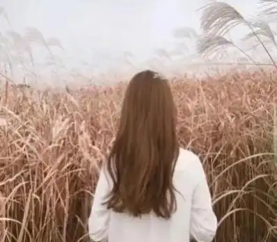 一个按摩师的自述我不后悔,至少她曾经在我的生命中出现过