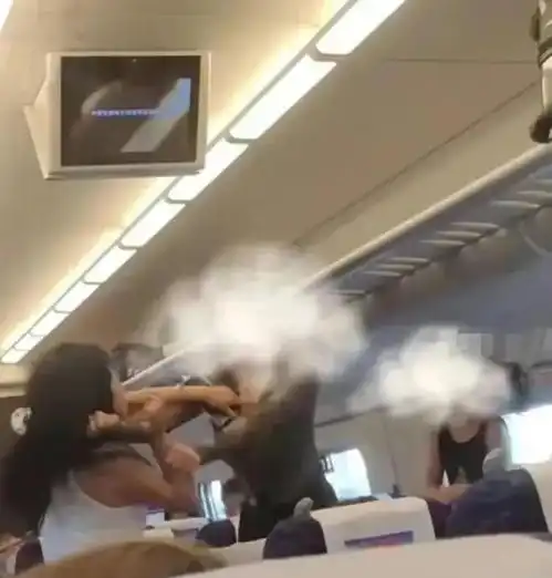 闹大了黑龙江高铁一对母女围殴女生,小女孩动作娴熟,下手更加狠辣