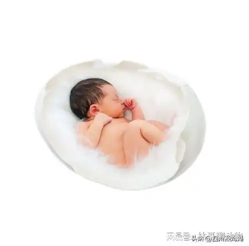 表妹第一次做媒肠子都悔青了,做媒就是吃力不讨好的事