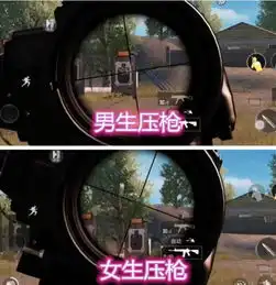 男生吃鸡vs女生吃鸡,搜房子太真实,看到压枪后男生哭了