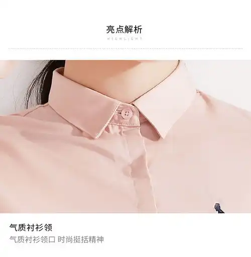 施悦名果粉色衬衫女春夏长袖韩版收腰衬衣职业气质刺绣设计感工作服c
