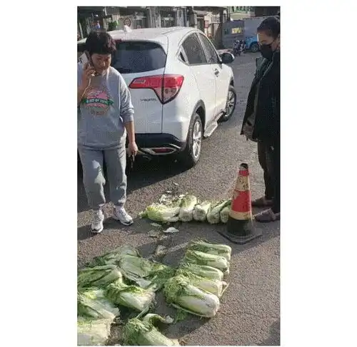 女司机开车无意碾坏路边大白菜,摊主见状大开口一个白菜50块