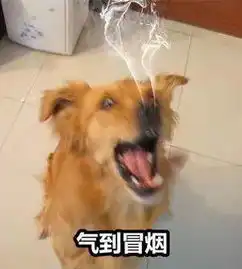 微信支付最新骗局你上当了吗