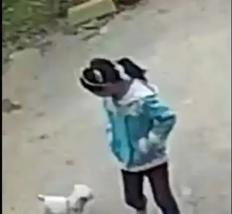 10岁女童遇害,凶手是13岁堂兄,我们必须为这一点发声堂兄尸体恶魔遇害杀害网易订阅