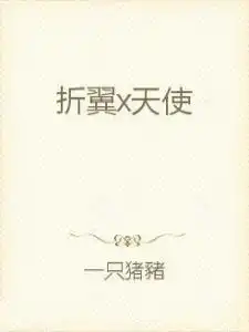 折翼x天使