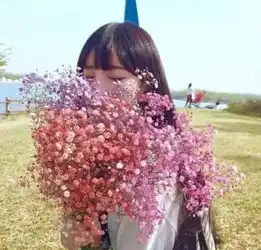 头像像鱼