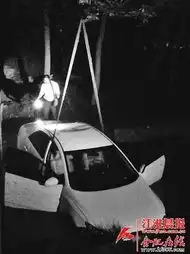 女子开车见到老公激动忘拉手刹轿车滑进沟里