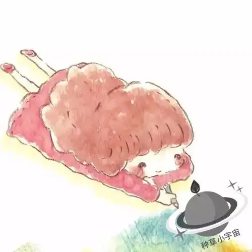 少女心头像,100张美到窒息