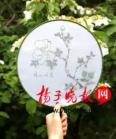 看理工妹纸的文艺手扬大女生手绘团扇很惊艳