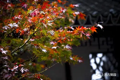 秋天该很好,倘若你在场搜狐文化搜狐网