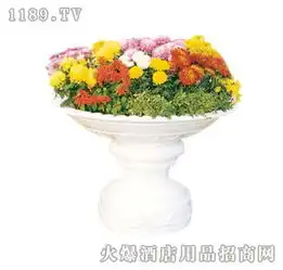 德净花零零售产品产品图片加盟店怎么样