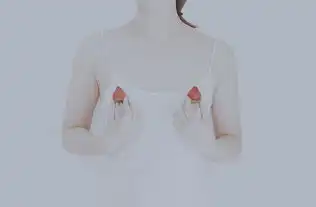 木与石原创手绘简约女款包帆布袋文艺环保购物袋单肩手提包