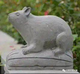 漫步万和生肖广场享受人生美好时光