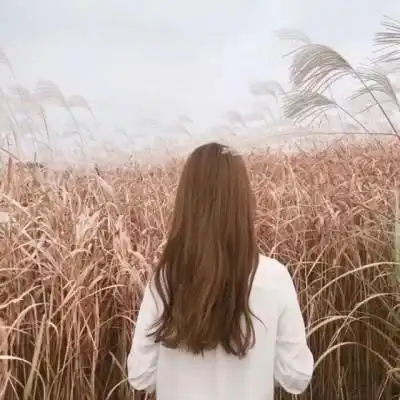 多彩贵州文学网2020年了,我们为什么还要讨论女性写作