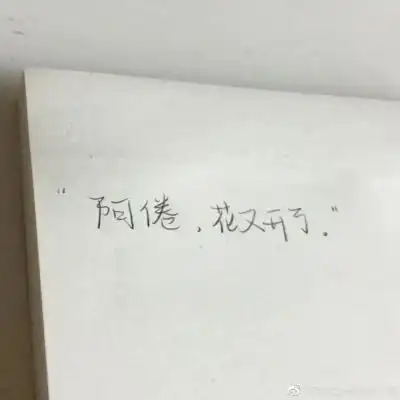 沈倦林语惊什么时候在一起的林语惊生日是哪一天