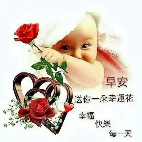 中老年表情包美女动图聊天不用打字带字动图哈喽早晨好,朋友是一辈子的财富