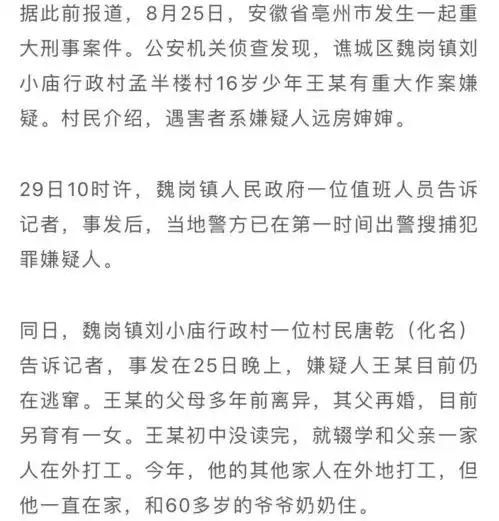 涉重大刑案16岁少年落网现场视频曝光