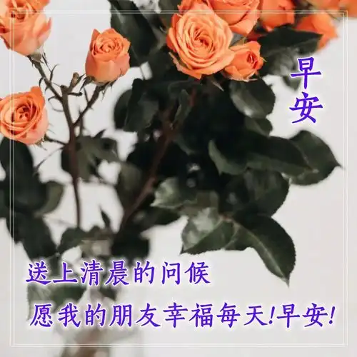 早上好问候专辑早安祝福语录早安心语正能量早上好动图表情