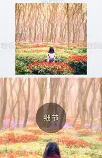 jpg唯美女子jpg格式唯美女子素材图片jpg唯美女子设计模板我图网