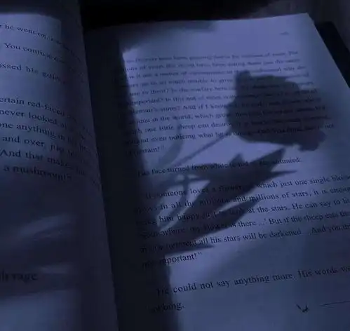 独家揭秘从面相上讲述桃花眼的女性