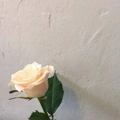 我知道我们都没有错,只是放手比较好过