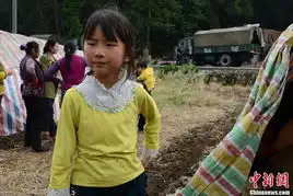 雅安小英雄的地震日记
