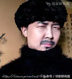 别具一格不仿小鲜肉,甄嬛传皇阿玛仿妆