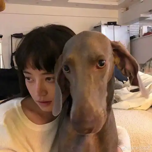 风格小众的复古风女生头像