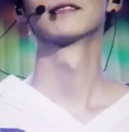 exo鹿晗