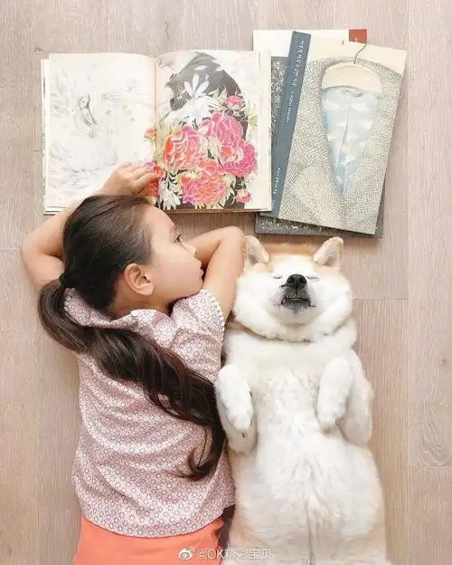 饭店厨师相亲幼师,两人从结婚谈到入土,这对话真是太有才了