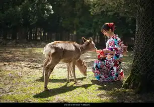 奈良喂小鹿的女孩