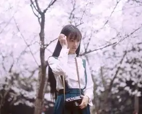 12星座女生的长相特点