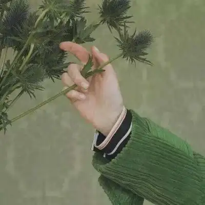 林一杂图背景