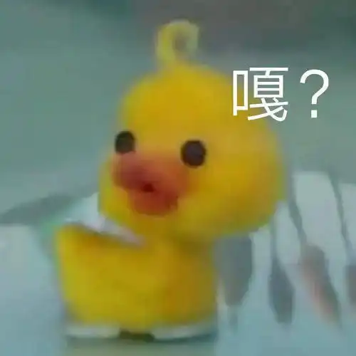 我的收藏