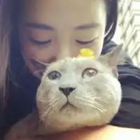 已记不起有权利去爱人