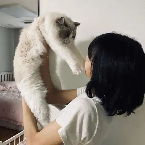 头像从前从前有个人爱你很久
