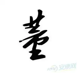 董姓女孩名字大全